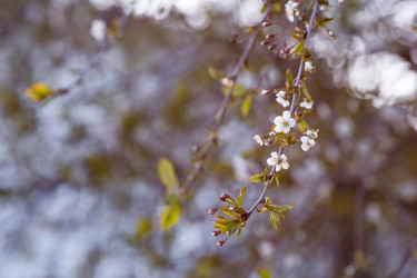 Similar image 21437711