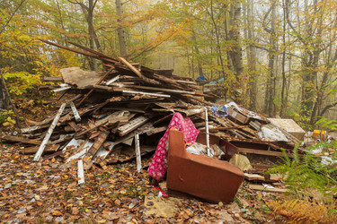 Similar image 21445152