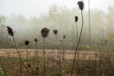 Similar image 21439744