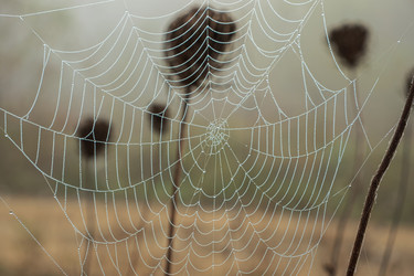 Similar image 21446491