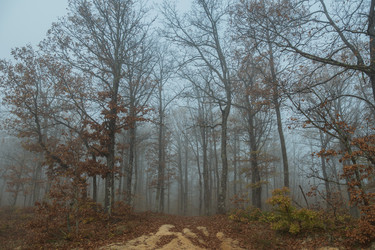 Similar image 21446492