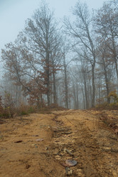 Similar image 21456114