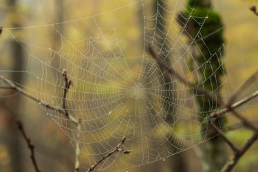 Similar image 21439745