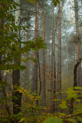 Similar image 21456115