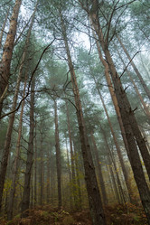 Similar image 21465144