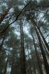 Similar image 21465145