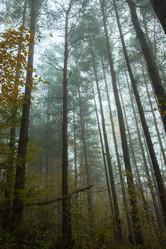 Similar image 21456116