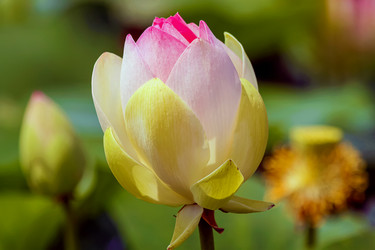 Similar image 21439749