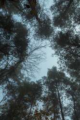 Similar image 21439750