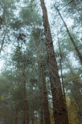 Similar image 21445155