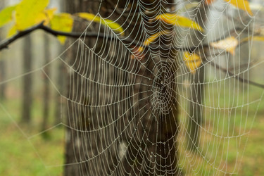 Similar image 21439753