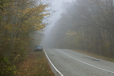 Similar image 21446496