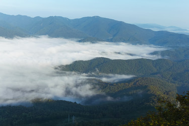 Similar image 21439760