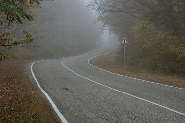 Similar image 21446502