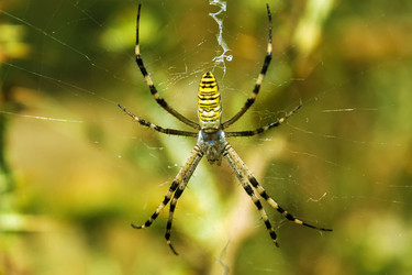 Similar image 21439791