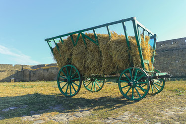 Similar image 21439792