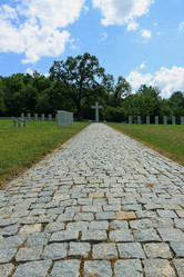 Similar image 21445179