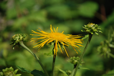 Similar image 21439803