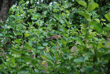 Similar image 21439804