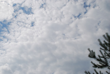 Similar image 21439805