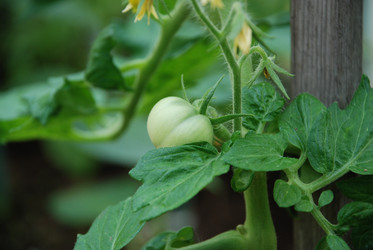 Similar image 21439806