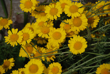 Similar image 21439807