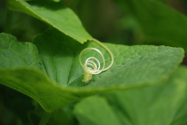 Similar image 21448327