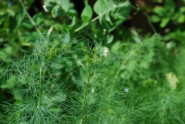 Similar image 21448329