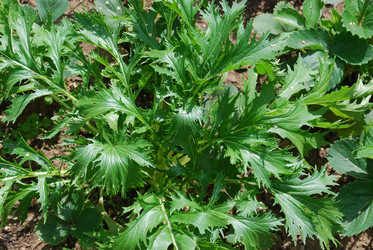 Similar image 21448330