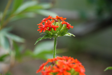 Similar image 21448333