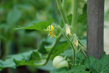 Similar image 21448334