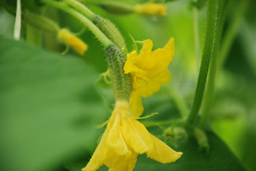 Similar image 21448335