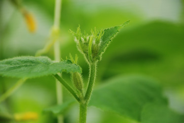 Similar image 21448336