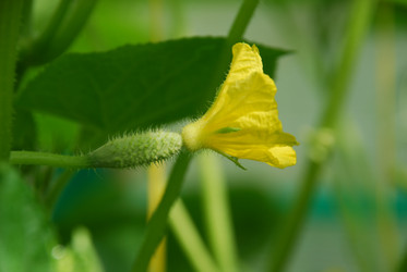 Similar image 21448337