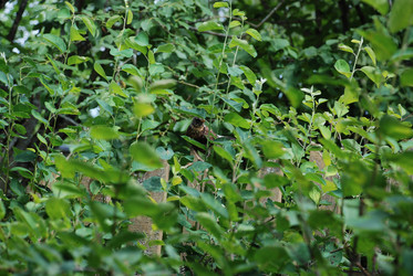 Similar image 21448339