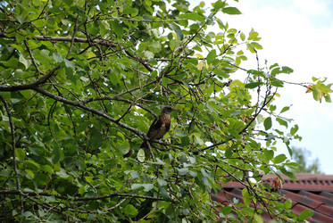 Similar image 21448340