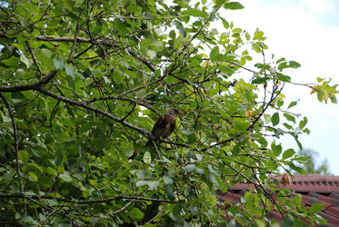 Similar image 21448341