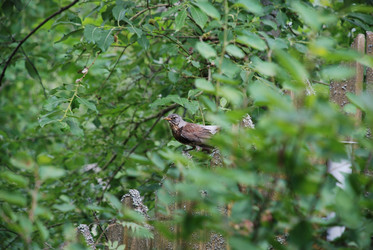 Similar image 21448343