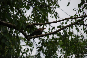 Similar image 21448344