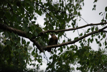 Similar image 21448345