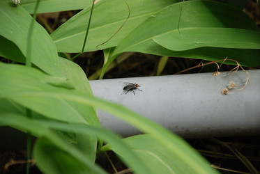 Similar image 21448346