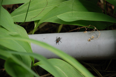 Similar image 21448347