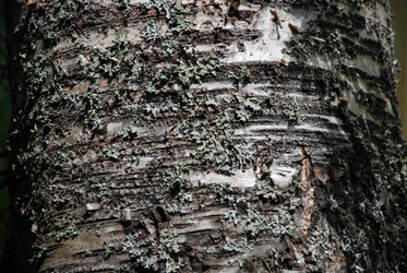 Similar image 21448349