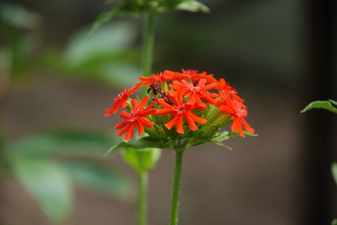 Similar image 21448350