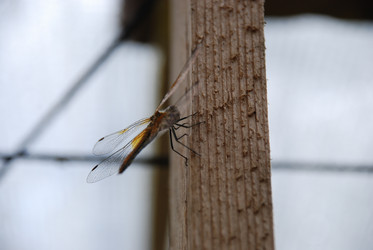 Similar image 21448352