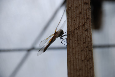 Similar image 21448353