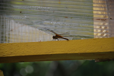 Similar image 21448354