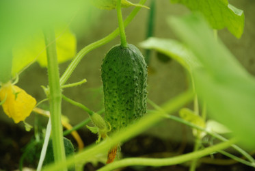 Similar image 21448355