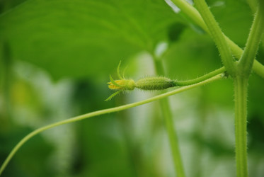 Similar image 21448356