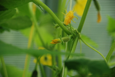 Similar image 21448357